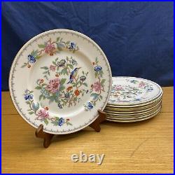 10 Aynsley Pembroke withGold Trim 10 1/2 Dinner Plates