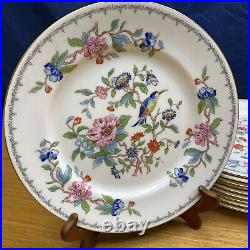 10 Aynsley Pembroke withGold Trim 10 1/2 Dinner Plates