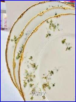 10 Haviland Limoges 150B Harrison Dinner Plates Green Flowers Double Gold Mint