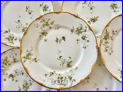 10 Haviland Limoges 150B Harrison Dinner Plates Green Flowers Double Gold Mint