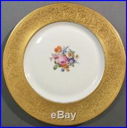 11 Lot Heinrich & Co Selb Barvaria H&C Gold Encrusted Floral Dinner Plates