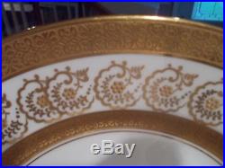 12 ADDERLEY 10 Elegant Dinner Plates Gold Encrusted Rim & Verge, Gold Flowers