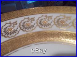 12 ADDERLEY 10 Elegant Dinner Plates Gold Encrusted Rim & Verge, Gold Flowers