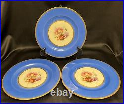 12 Antique Black Knight China BLUE with FLOWERS Dinner Plates EUC Czecho-Slovakia