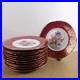 12-Epiag-Porcelain-11-Dinner-Plates-Red-Gold-Dresden-Flowers-10536-Czech-01-ddv
