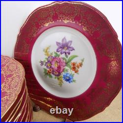 12 Epiag Porcelain 11 Dinner Plates Red Gold Dresden Flowers 10536 Czech