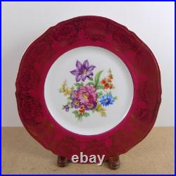 12 Epiag Porcelain 11 Dinner Plates Red Gold Dresden Flowers 10536 Czech
