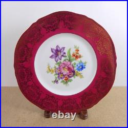 12 Epiag Porcelain 11 Dinner Plates Red Gold Dresden Flowers 10536 Czech