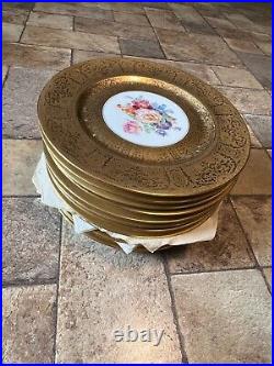 12 Gorgeous H& C SELB BAVARIA HEAVY GOLD Encrusted 11 PLATES Heinrich &Co