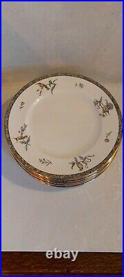 12 Pc Wedgwood Hummingbird Dinner Plate 1991 Minty Elegant Gold Trim
