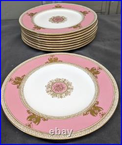 12 Raised Gold Wedgwood Columbia Powder Pink Dinner Plates