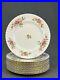 12-Royal-Albert-Moss-Rose-Dinner-Plates-10-1-8-Pink-Roses-with-Gold-Trim-Mint-01-fe