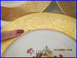 13 Limoges & Union T GOLD ENCRUSTED floral dinner 10 3/4in. Plates all match