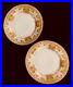 2-Antique-Dinner-Plates-Theodore-Haviland-Limoges-Art-Nouveau-Gold-Floral-Detail-01-qibu