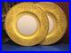 2-Dinner-Plates-Royal-Worcester-Gold-Yellow-1932-England-Bone-China-Excellent-01-het