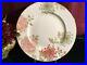 2-Lenox-Marchesa-Painted-Camellia-Dinner-Plates-NEW-USA-Free-Shipping-white-gold-01-tcam