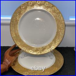 2 Limoges France Gold Encrusted Rim Floral Dinner Plates 11 Elite B & D WOWEE