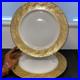 2-Limoges-France-Gold-Encrusted-Rim-Floral-Dinner-Plates-11-Elite-B-D-WOWEE-01-jkp