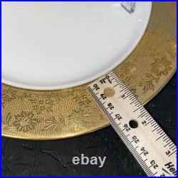 2 Limoges France Gold Encrusted Rim Floral Dinner Plates 11 Elite B & D WOWEE