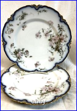 2 RARE Haviland Limoges FEU De FOUR Dinner PLATES w COBALT & GOLD w PINK POPPY