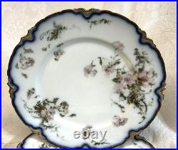 2 RARE Haviland Limoges FEU De FOUR Dinner PLATES w COBALT & GOLD w PINK POPPY