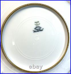 2 RARE Haviland Limoges FEU De FOUR Dinner PLATES w COBALT & GOLD w PINK POPPY