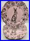 222-Fifth-Pink-Gold-Bunny-Hill-Rabbit-Toile-Dinner-Plates-Easter-Set-of-6-01-zmk