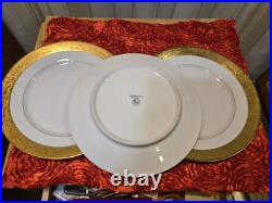 3 Tirschenreuth Bavaria Germany Gold Encrusted Dinner Plates Favorite Pattern