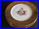 4-Gorgeous-Hutschenreuther-Dinner-Plates-Gold-Encrusted-Floral-Center-Lot-01-se