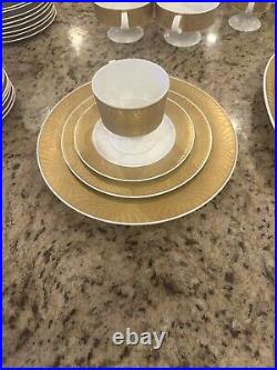 51 Piece Gold Guilded Rosenthal Dinner Service