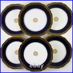 6-9.5 antique DINNER Plates COBALT blue & GOLD leaves HAVILAND &Co, Limoges