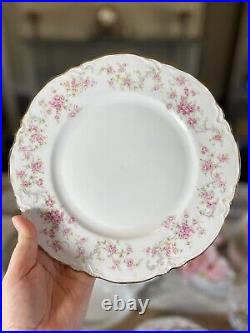 6 Dinner Plates Hutschenreuther Richelieu 7658 Rose Design Gold Edge
