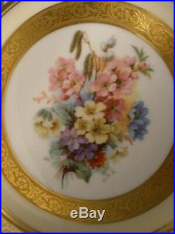 6 Gold Encrusted Hutschenreuther Dinner Plates 10.5 Royal Bavarian Floral Vtg#5