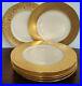6-Gold-Encrusted-Selb-Bavaria-Lg-Porcelain-Dinner-Service-Plates-11-inches-01-yj