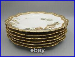 6 Haviland Feu de Four Dinner Plates Gold Encrusted Poppies H3917