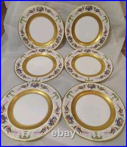 6 Royal Bavarian Hutschenreuther Selb 11 Gold Encrusted Dinner Plates Birds