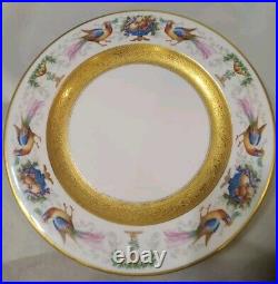 6 Royal Bavarian Hutschenreuther Selb 11 Gold Encrusted Dinner Plates Birds