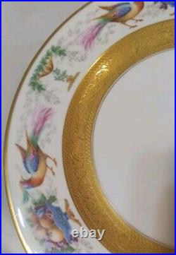 6 Royal Bavarian Hutschenreuther Selb 11 Gold Encrusted Dinner Plates Birds