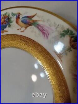 6 Royal Bavarian Hutschenreuther Selb 11 Gold Encrusted Dinner Plates Birds