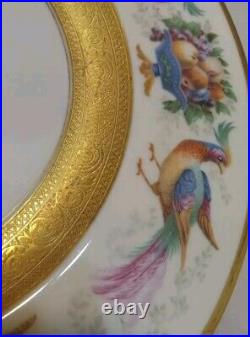 6 Royal Bavarian Hutschenreuther Selb 11 Gold Encrusted Dinner Plates Birds