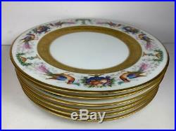 6 Royal Bavarian Hutschenreuther Selb BIRD Dinner Plate 10 7/8 Encrusted Gold