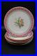 6-Royal-Worcester-English-1850-s-Hand-Painted-Flowers-Pink-Gold-9-Plates-01-ikai
