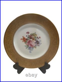 7 Royal Bavarian Hutschenreuther Selb Bavaria Gold Encrusted Dinner Plates 7 Royal Bavarian Hutschenreuther Selb Bavaria Gold Encrusted Dinner Plates