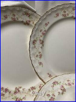 7 Vintage Pope Gosser Dinner Plates 10 Diameter, Florence Pattern In Exce (3)