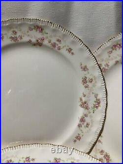 7 Vintage Pope Gosser Dinner Plates 10 Diameter, Florence Pattern In Exce (3)