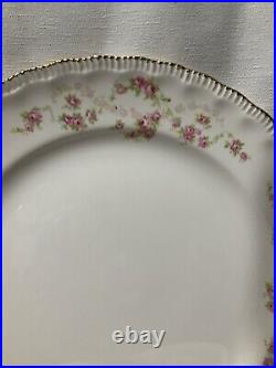 7 Vintage Pope Gosser Dinner Plates 10 Diameter, Florence Pattern In Exce (3)