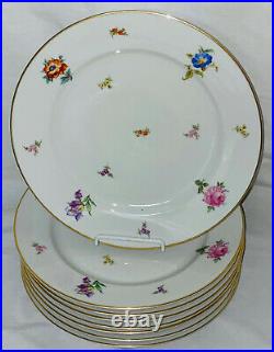 8 Rosenthal WINIFRED FLORAL 10 DINNER PLATES WithGOLD