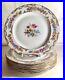8-Royal-Bayreuth-Floral-Pattern-With-Gold-Trim-9-7-8-Dinner-Plates-01-cit