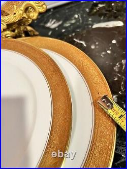 8 Vintage Rosenthal Selb Bavaria Dinner Plate White Gold Trim