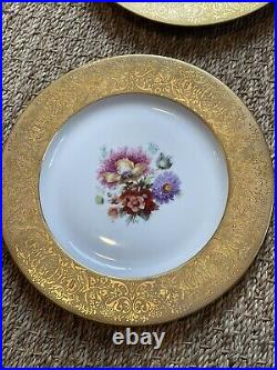 9 Gold encrusted floral Porcelain dinner plates 10 Bavarian Hutschenreuther
